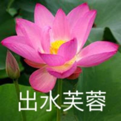 meaqua的喫茶铺游戏下载